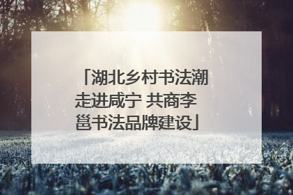 湖北乡村书法潮走进咸宁 共商李邕书法品牌建设
