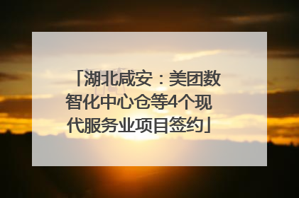 湖北咸安：美团数智化中心仓等4个现代服务业项目签约
