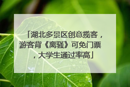 湖北多景区创意揽客，游客背《离骚》可免门票，大学生通过率高