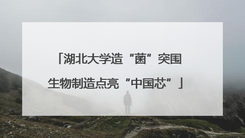 湖北大学造“菌”突围 生物制造点亮“中国芯”