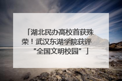 湖北民办高校首获殊荣！武汉东湖学院获评“全国文明校园”