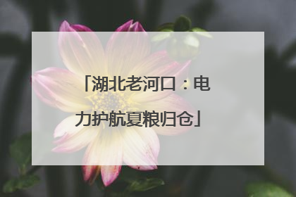 湖北老河口：电力护航夏粮归仓