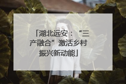 湖北远安：“三产融合”激活乡村振兴新动能