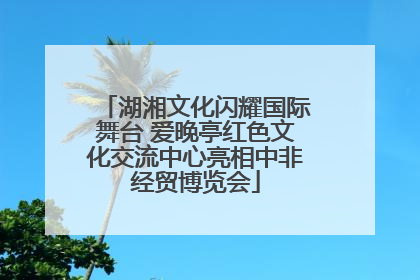 湖湘文化闪耀国际舞台 爱晚亭红色文化交流中心亮相中非经贸博览会