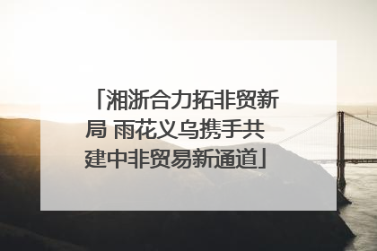 湘浙合力拓非贸新局 雨花义乌携手共建中非贸易新通道