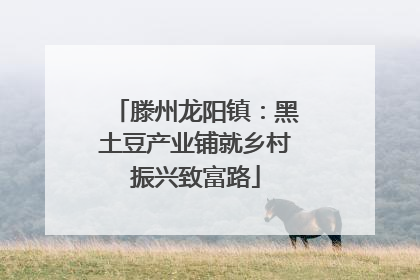滕州龙阳镇：黑土豆产业铺就乡村振兴致富路