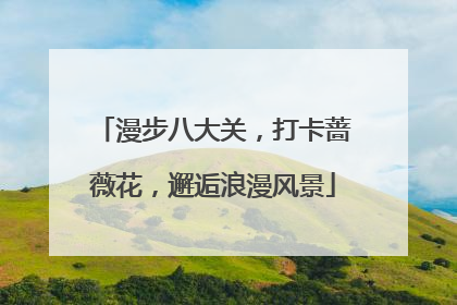 漫步八大关，打卡蔷薇花，邂逅浪漫风景