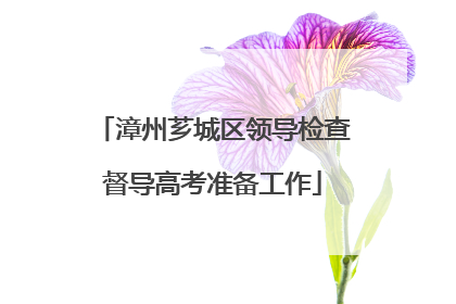漳州芗城区领导检查督导高考准备工作