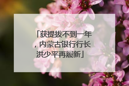 获提拔不到一年，内蒙古银行行长洪少平再履新