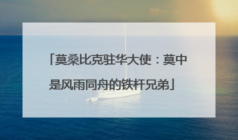 莫桑比克驻华大使：莫中是风雨同舟的铁杆兄弟