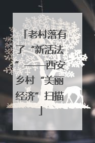 老村落有了“新活法”——西安乡村“美丽经济”扫描
