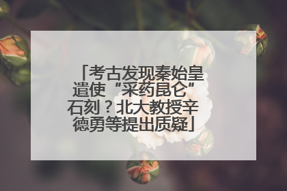 考古发现秦始皇遣使“采药昆仑”石刻？北大教授辛德勇等提出质疑