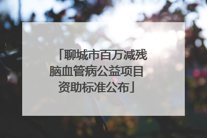 聊城市百万减残脑血管病公益项目资助标准公布