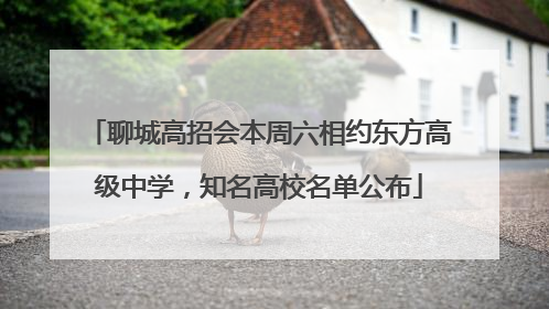聊城高招会本周六相约东方高级中学，知名高校名单公布