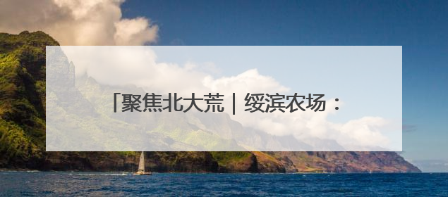 聚焦北大荒｜绥滨农场：沃野绘新景 实干开新局