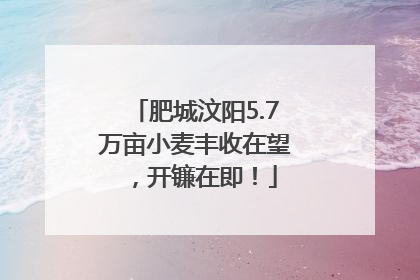 肥城汶阳5.7万亩小麦丰收在望，开镰在即！
