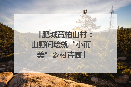 肥城黄柏山村：山野间绘就“小而美”乡村诗画