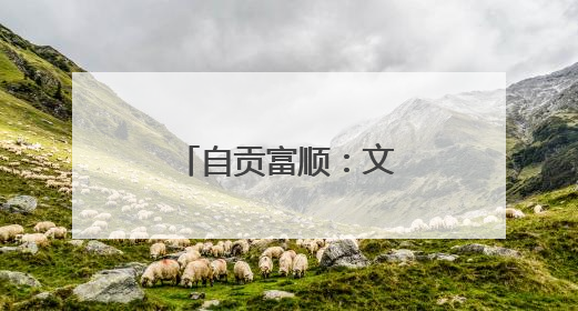 自贡富顺：文旅体商融合 赋能消费热潮