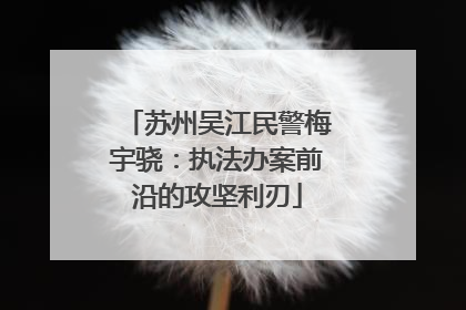 苏州吴江民警梅宇骁：执法办案前沿的攻坚利刃