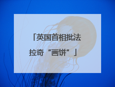 英国首相批法拉奇“画饼”