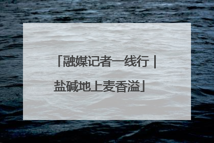 融媒记者一线行｜盐碱地上麦香溢