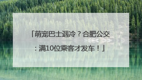 萌宠巴士遇冷？合肥公交：满10位乘客才发车！