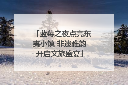 蓝莓之夜点亮东夷小镇 非遗雅韵开启文旅盛宴