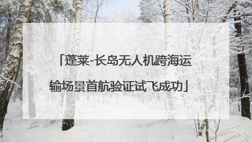 蓬莱-长岛无人机跨海运输场景首航验证试飞成功