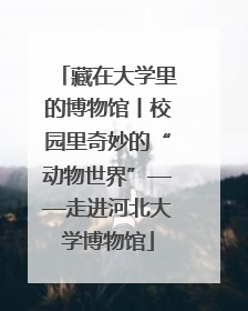 藏在大学里的博物馆丨校园里奇妙的“动物世界”——走进河北大学博物馆