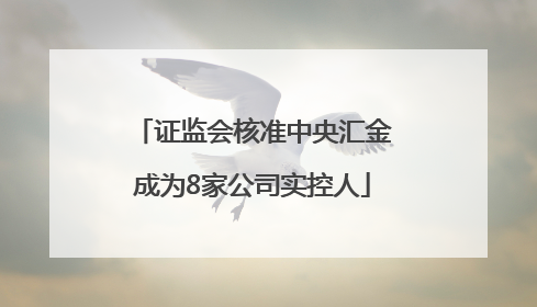 证监会核准中央汇金成为8家公司实控人
