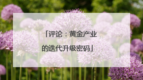 评论：黄金产业的迭代升级密码