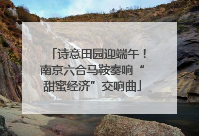 诗意田园迎端午！南京六合马鞍奏响“甜蜜经济”交响曲