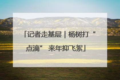 记者走基层｜杨树打“点滴” 来年抑飞絮