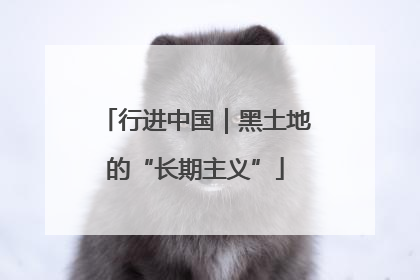 行进中国｜黑土地的“长期主义”