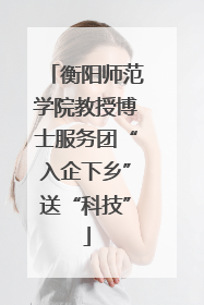 衡阳师范学院教授博士服务团“入企下乡”送“科技”