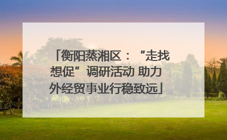 衡阳蒸湘区：“走找想促”调研活动 助力外经贸事业行稳致远