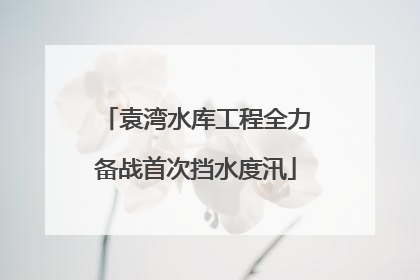 袁湾水库工程全力备战首次挡水度汛