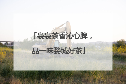 袅袅茶香沁心脾，品一味婺城好茶