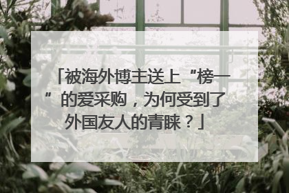 被海外博主送上“榜一”的爱采购，为何受到了外国友人的青睐？