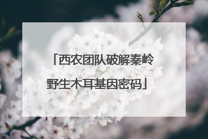 西农团队破解秦岭野生木耳基因密码