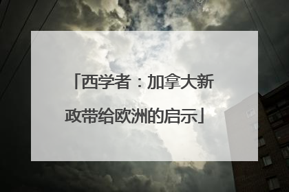 西学者：加拿大新政带给欧洲的启示