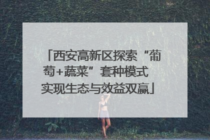 西安高新区探索“葡萄+蔬菜”套种模式 实现生态与效益双赢