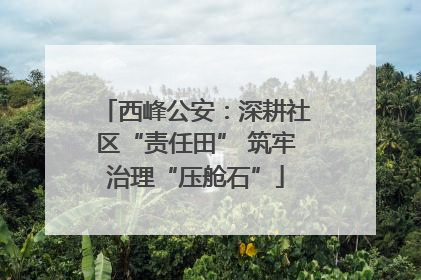 西峰公安：深耕社区“责任田” 筑牢治理“压舱石”