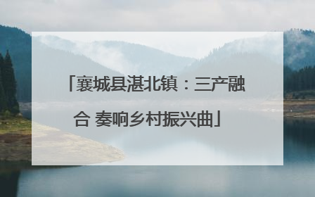 襄城县湛北镇：三产融合 奏响乡村振兴曲