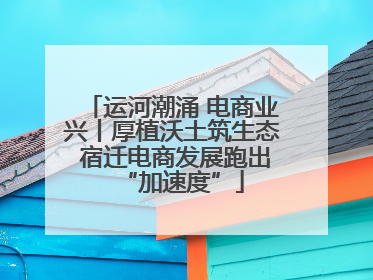 运河潮涌 电商业兴丨厚植沃土筑生态 宿迁电商发展跑出“加速度”