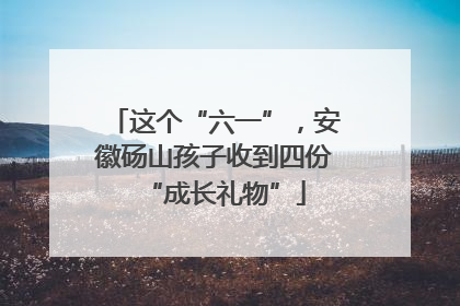 这个“六一”，安徽砀山孩子收到四份“成长礼物”