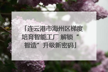 连云港市海州区梯度培育智能工厂 解锁“智造”升级新密码