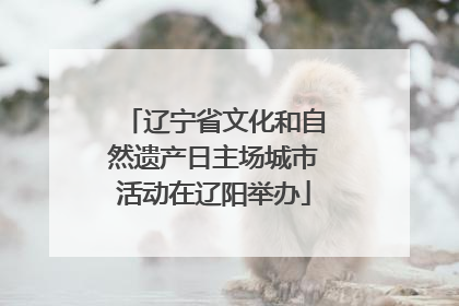 辽宁省文化和自然遗产日主场城市活动在辽阳举办