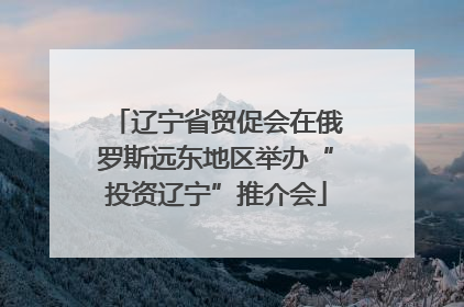 辽宁省贸促会在俄罗斯远东地区举办“投资辽宁”推介会