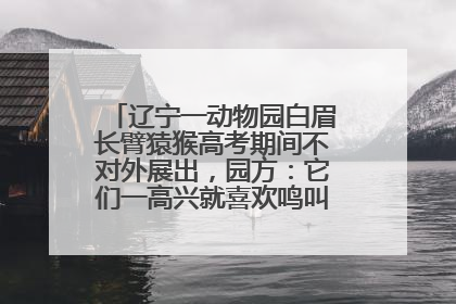 辽宁一动物园白眉长臂猿猴高考期间不对外展出，园方：它们一高兴就喜欢鸣叫，怕影响考试